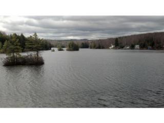 225 Lakeshores Dr, Hillsboro, NH 03244-6737