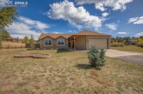 222 Piute Trl, Woodland Park, CO 80863-8382
