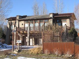 725 Chipeta Dr, Ridgway, CO 81432-9360