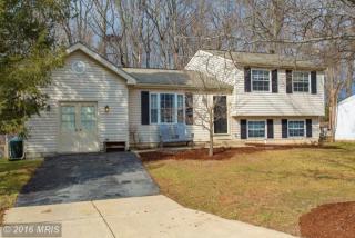 10113 Peanut Mill Dr, Gaithersburg, MD 20882-4024