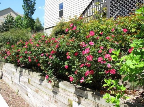 369 Hawkins Rdg, Big Canoe GA 30143-4748 exterior