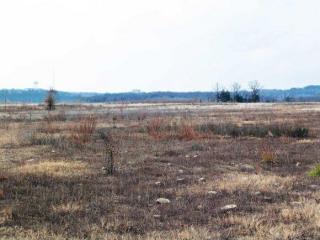 1 Siena Blvd, Branson, MO 65616