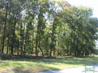 110 Mingledorff Ct, Stillwell, GA 31329-5092