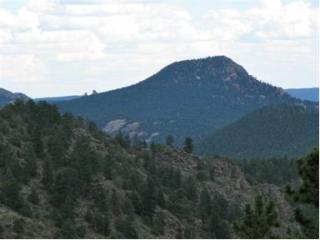 14772 Kit Carson Peak Trl, Pine, CO 80470-9133
