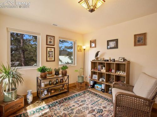 331 Panther Ct, Woodland Park CO exterior