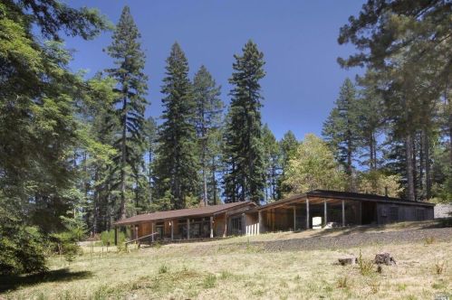 9532 Clint Ct, Cazadero, CA 95421-9608