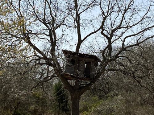 6698 Pear Cir, Princeton TX 75407-4997 exterior