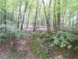 4531 Sassafras Mountain Trl, Big Canoe, GA 30143