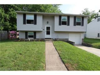 294 Hayer Dr, Concord Township, OH 44077-1244