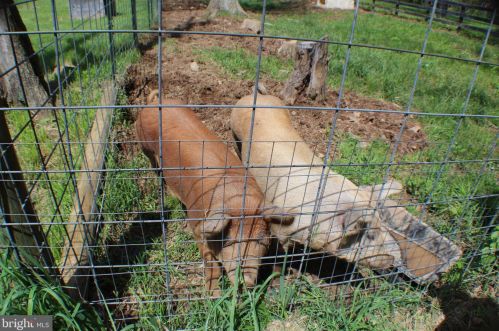 4960 Slanesville Pike, Points WV  25437-3609 exterior