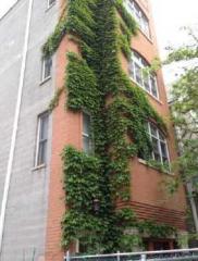 2555 Southport Ave, Chicago IL 60614-2124 exterior