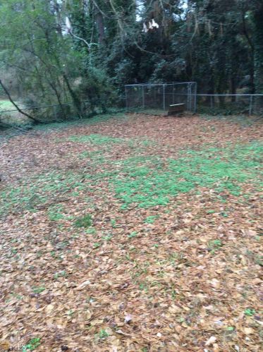 15 Hickory Cv, Stockbridge GA  30281-2704 exterior