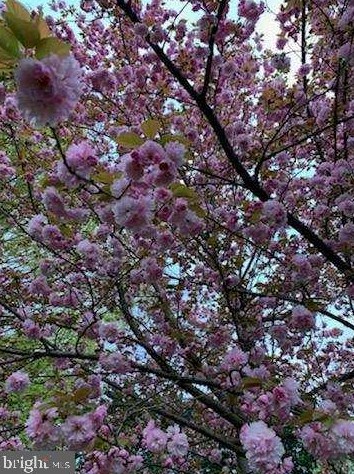 1503 Sillaman Ct, Arnold MD  21012-2571 exterior