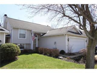 9764 Springhouse Ln, Concord Township, OH 44060-6660