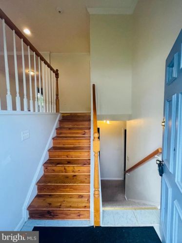 7203 Bona Vista Ct, Springfield VA  22150-3056 exterior