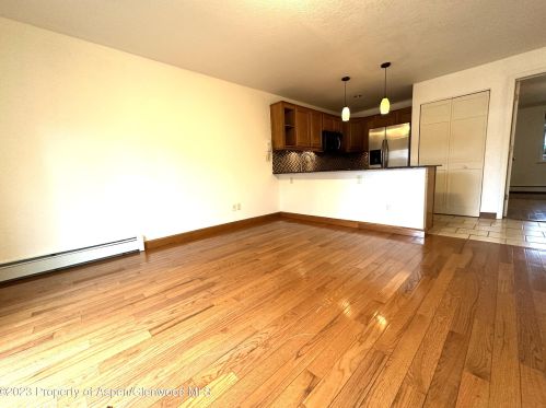 202 12th St, El Jebel, CO 81623-2523