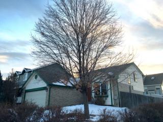 12251 Niagara Ct, Denver CO  80602-9617 exterior