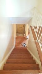 10735 Philcrest Rd, Philadelphia PA  19154-4003 exterior