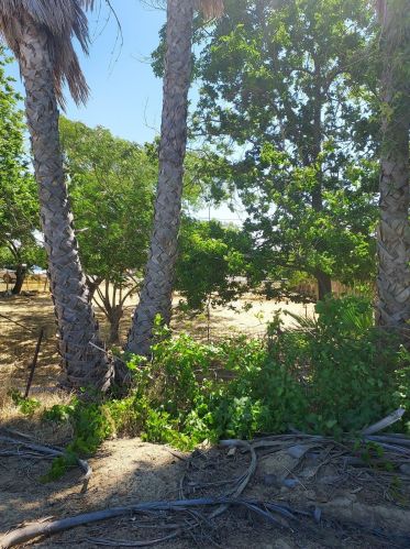 17445 Mercey Springs Rd, Los Banos, CA 93635-9583