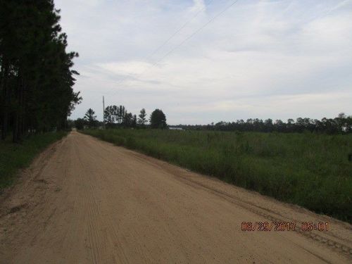 341 Roy Wright Rd, Screven, GA 31560-9617