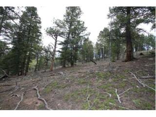 105 Ridge Cir, Pine, CO