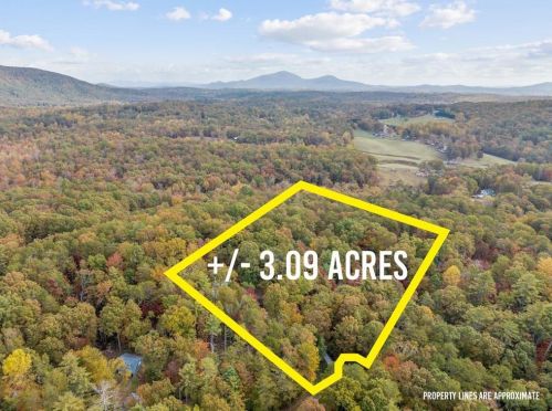 667 Running Deer Rd, Cleveland, GA 30528-2677