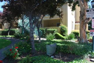 209 Sunnyhills Ct, Milpitas CA  95035-2754 exterior