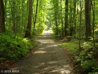 2117 Whippoorwill Rd, Vienna, VA 22181-2962
