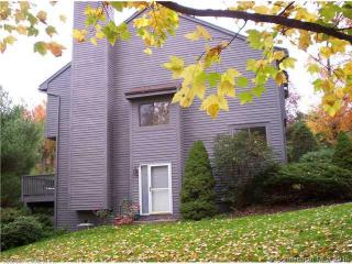 138 Conestoga Way, Glastonbury, CT 06033-3362