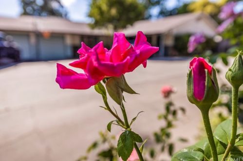 968 Cyndi Cir, Chico, CA 95973-0911