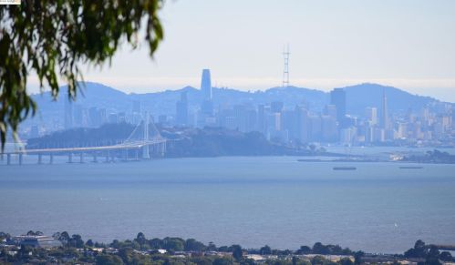 1136 Keith Ave, Berkeley, CA 94708-1607