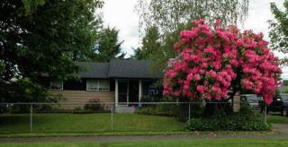 243 62nd St, Tacoma WA  98404-1227 exterior