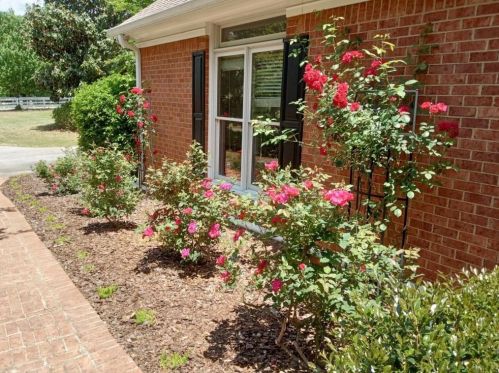 1310 Grapevine Trl, Monroe GA  30656-4513 exterior