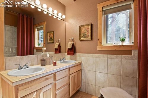 133 Elk Grove Ln, Woodland Park CO 80863-9171 exterior