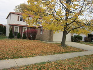 745 Randi Ln, Hoffman Estates IL  60169-2713 exterior