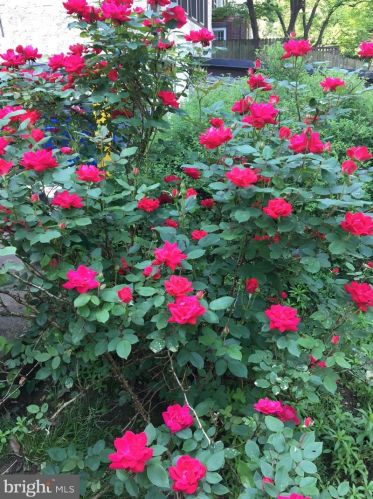 638 State St, Lancaster PA  17603-2641 exterior