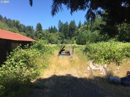 49547 Scoggins Valley Rd, Gaston, OR 97119-9127