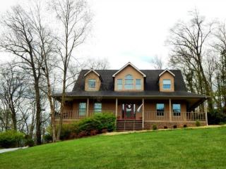 720 River Village Ln, Afton, TN 37616-6212