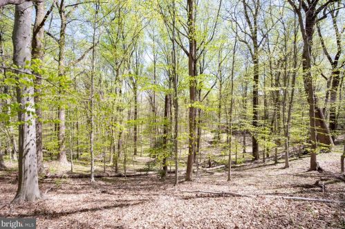 9101 Mine Run Dr, Great Falls, VA 22066-2706