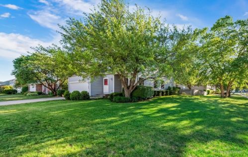 1168 Chalet Dr, Carol Stream, IL 60188-3971