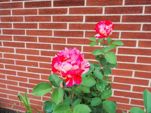 1305 Wood St, Valpo IN 46383-5140 exterior