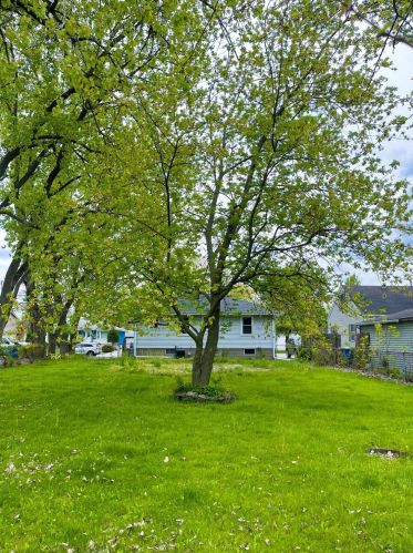 2933 98th St, Hammond IN  46322-3349 exterior