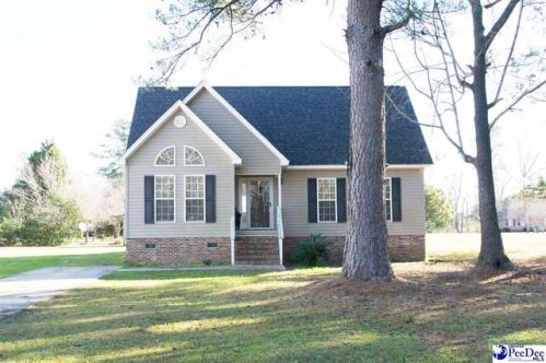 808 Tinkerbell Dr, Pamplico, SC 29583-3755