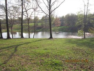 1249 Little Mountain Rd, Dawsonville, GA 30534-8446