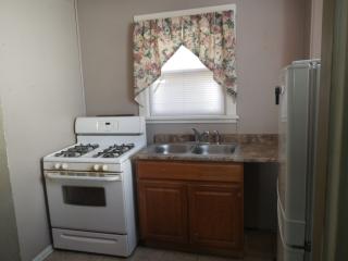 316 Liberty St, Concord Township OH  44077-3503 exterior