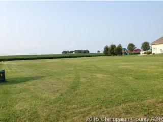 401 Grant St, Broadlands, IL 61816-9701