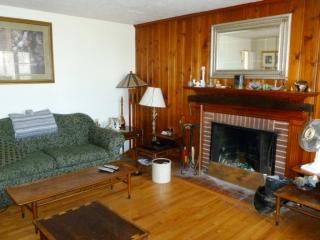 228 Stribling Ave, Charlottesville VA  22903-2901 exterior