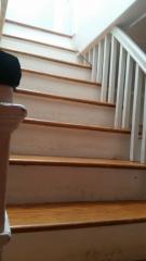3604 Mount Pleasant Ave, Baltimore MD  21224-2419 exterior