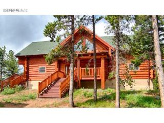 500 County Road 128n, Nederland, CO 80466-9516