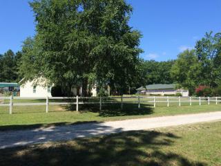 123 New Village Rd, Gilbert, SC 29054-8627